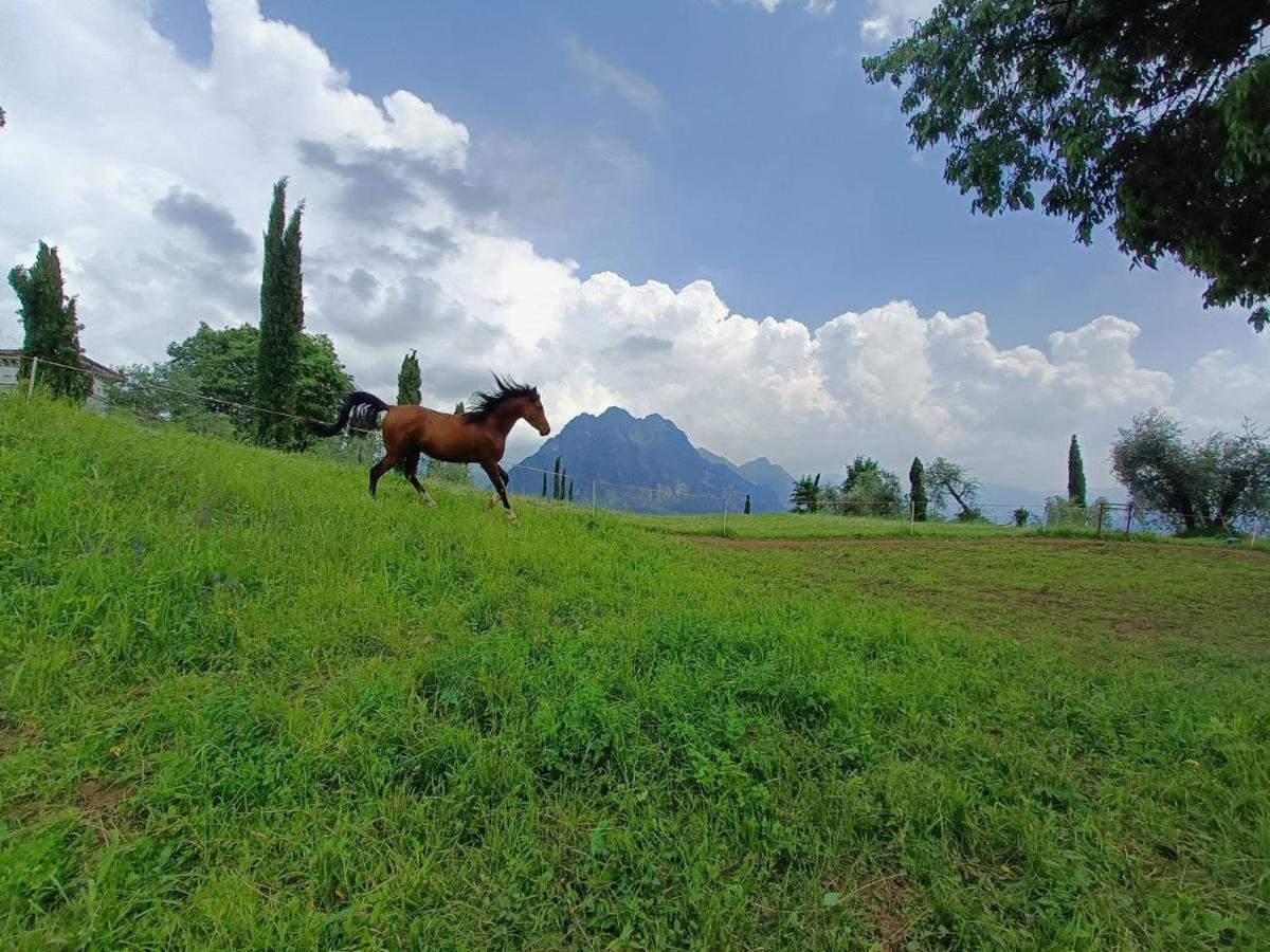 Villa Helene Solto Collina Bagian luar foto